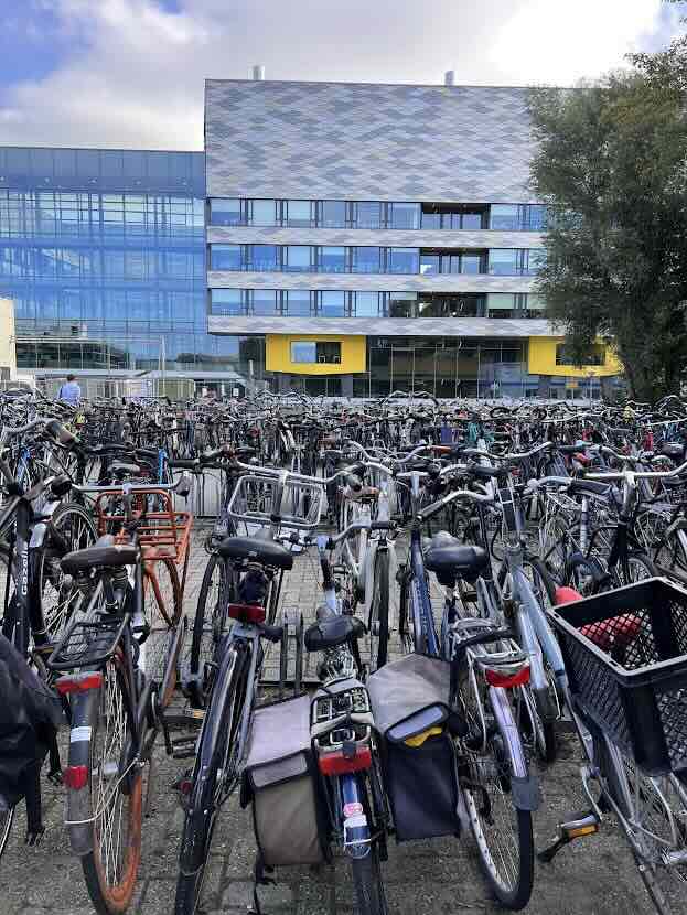 Cheap Bikes for Students & Expats